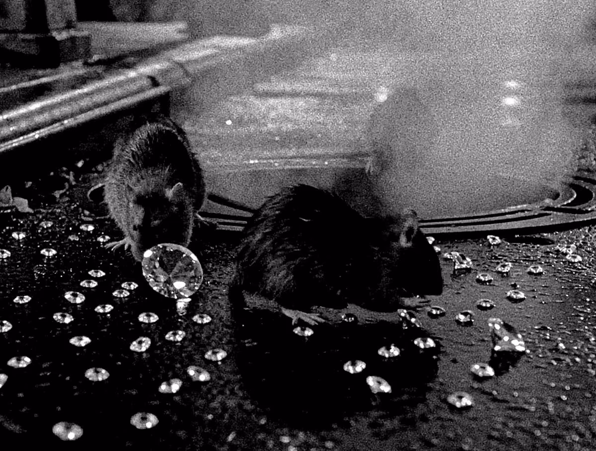 Frame from NEW YORK RIOT, a self-initiated film by Chris Raw